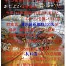 キリンさんのSランクと静岡のイケメンウォーク
