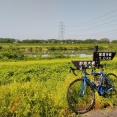 サイクリングで菅谷不動尊参拝95Km