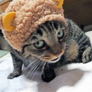 エ、写真撮られちゃった？