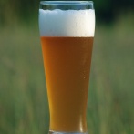一番美味くて初心者向けなビールとつまみの組み合わせ教えて