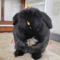 良し！
