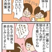 甥っ子猫に会ってきた①