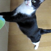 ウランが好きだったものをお供えしました