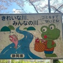 静岡県富士宮市　巡沢桜街道　稲瀬川のカエル河川看板