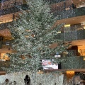 X’mas🎄