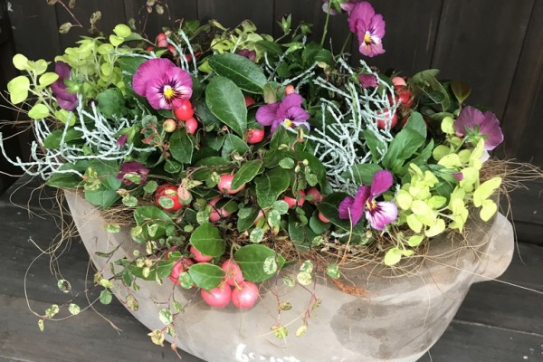 平田ナーセリー福岡東店forest 新宮町