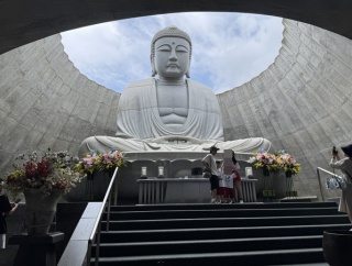 夏の北海道の旅観光編２は札幌市の安藤忠雄建築を訪ねて！ラベンダーがちょうど見頃だった「頭大仏殿」と「北菓楼 札幌本館」