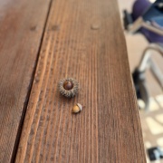 ＊2回目のリガーデン、想定外の出来事