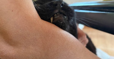 反応無し