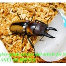 〇週末はポイント5倍＼(^o^)／