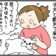 奥様と犬と猫と「ボク」の主張