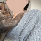 朝の抱っこ渋滞