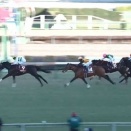 【競馬】4歳世代があまりにも強い件