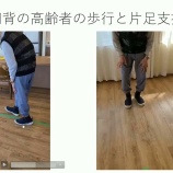 『＜報告＞初開催した移乗・移動のケア技術』の画像