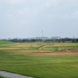 『梅雨が明け、本格的な夏到来です』の画像