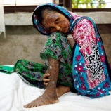 『ロヒンギャ族虐殺続報』の画像