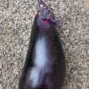 母の入院15日目