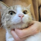 爪切り出来たよ🌷