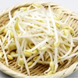 『ウマーなもやしレシピ』の画像