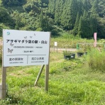 でくのぼうぷれす ☆ ネットワークするでくのぼう！