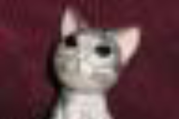 トランプ再始動 大統領復活は早い 葵栄治 クイックスポーツnews