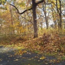 土地の売却依頼うける、、