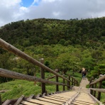 ぷーさんのデジカメ三昧