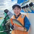 アジ五目