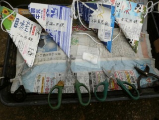 作業が一段落したのでお手入れをしたよ（･∀･)つ