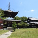 根来寺 ～岩出市めぐり～