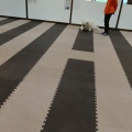 秋田犬の里ふたたび(2026.7)