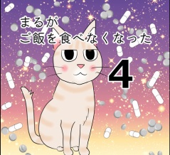 まるがご飯を食べなくなった4