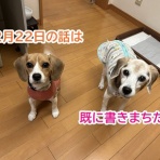 ガオだらけな日々　