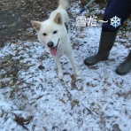 コン太里親会ブログ