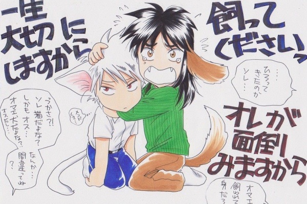 Fkmtキャラ 皆でしあわせになろう カイジ しげる１３ 元はアカカイ