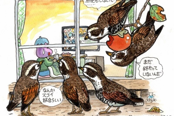 ふじたかなすびページ③ 富士鷹なすびのブログ