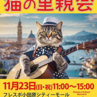 三度の飯＜犬と猫