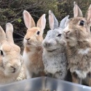 みんなで食べれば怖くない