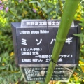 現在の状況260716