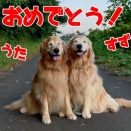 8月のつきたんだよー