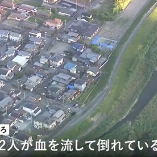 ハムスター速報