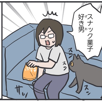 家猫の肉球ってやわらかい