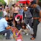 街角で売られていた染色ひよこ