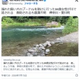溺れた飼い犬のプードルを助けに行った84歳女性が川で流される　救助されるも意識不明　プードルは保護され無事　神奈川