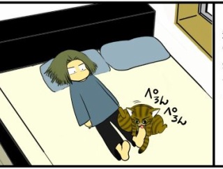 猫様は飼い主ごと毛づくろいしがち