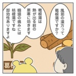 鍼灸師の日々、ときどき豪華客船