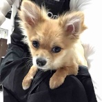 滋賀県彦根市　ワンラブ　カインズ彦根店　ブログ