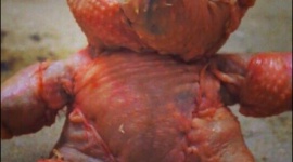 【グロ注意】子供達のために作った「食べられるテディベア」が怖すぎると話題に