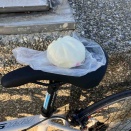 20251129-1207/自転車で台湾一周旅行〜環島(ホァンダオ)/Day03 🇹🇼