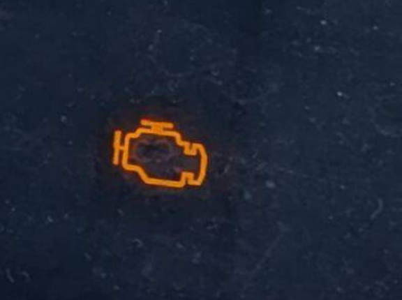 朝起きて車乗ったらコレ…